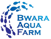 Bwara Aqua Farm